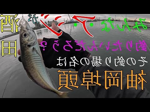 山形 港